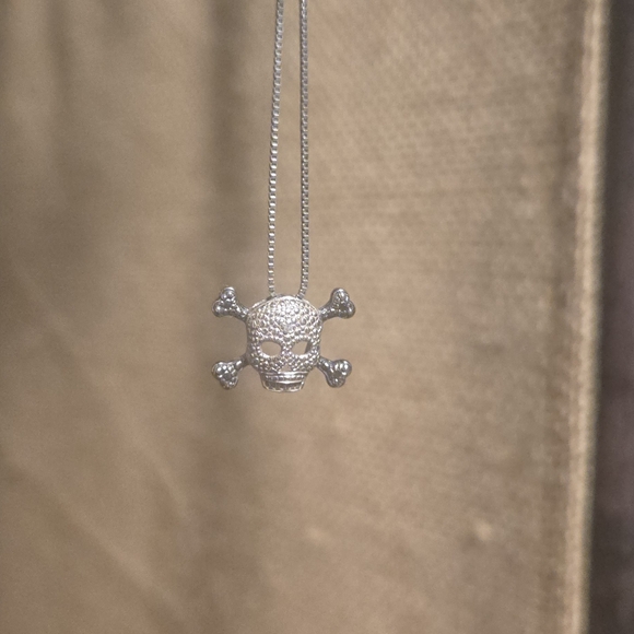 Sterling Silver and Diamond Skull Pendant Necklace - Picture 3 of 4